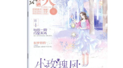 花火杂志,花火杂志的青春文学之旅