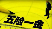 五险一金,全面解析我国社会保障体系的核心内容”