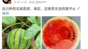 最近娱乐圈有什么瓜可吃,揭秘明星幕后故事与热点事件