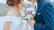 征婚婚恋,多元选择与情感共鸣的交汇点