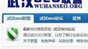 武汉seo,揭秘本地搜索引擎优化策略与实战技巧