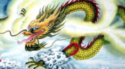 龙和什么生肖最配,揭秘龙与凤凰生肖的完美搭配”